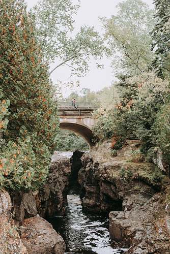 temperance river grey concrete arch bridge between trees arch